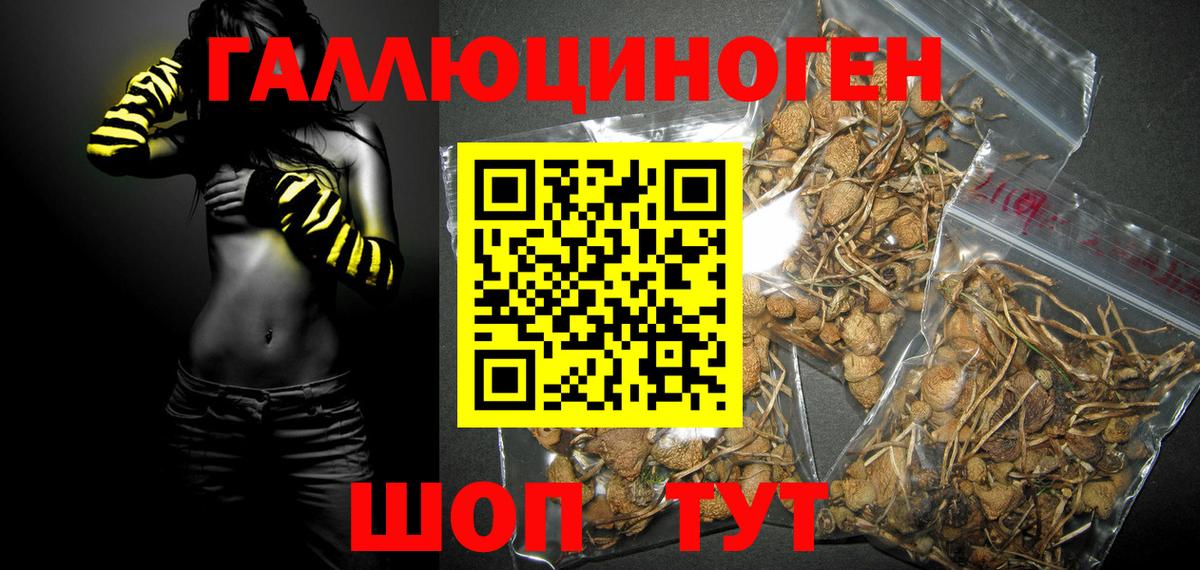 Псилоцибиновые грибы мицелий  Галлюциногенные грибы Cubensis  Вход с VPN  Валуйки 