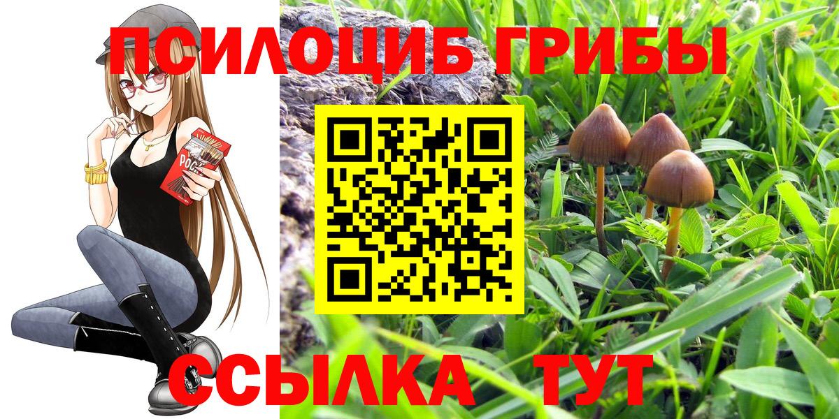 Галлюциногенные грибы Cubensis Валуйки